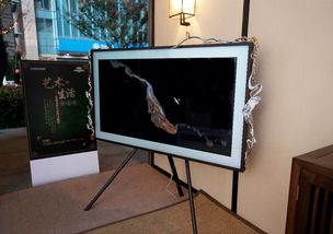 三星跨界故宮設(shè)計師開啟藝術(shù)生活,雙11電視刮宮廷風